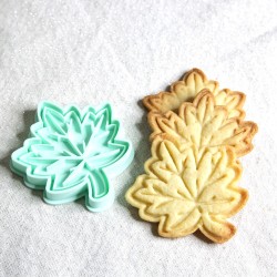 Emporte - pièce "Feuille d'Automne"